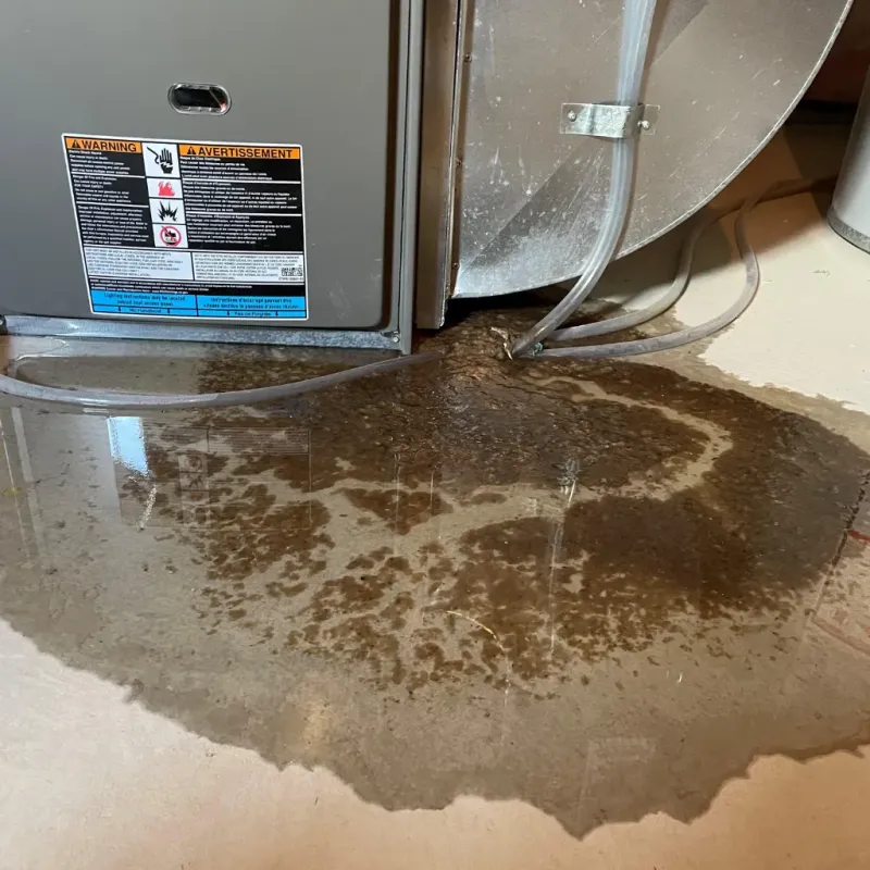 Appliance Leak Cleanup in Ruckersville, VA