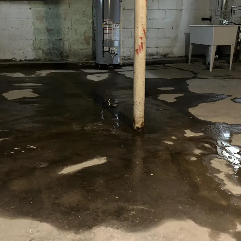 Emergency Water Extraction And Removal in Ruckersville, VA